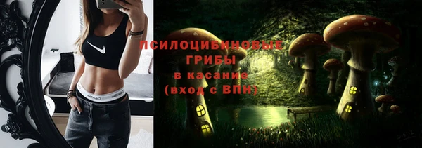 шишки Волосово