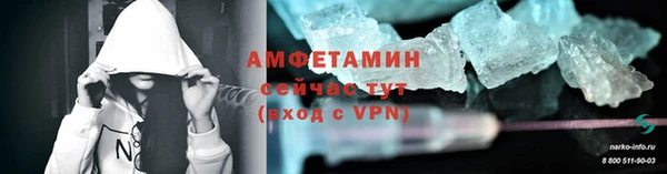 гидра Верея