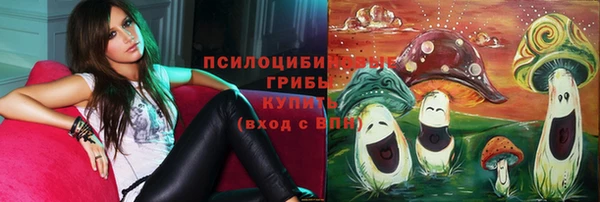 гидра Верея