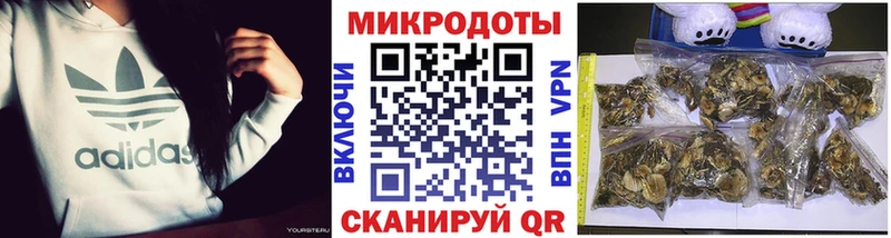 Галлюциногенные грибы Cubensis  Кандалакша 
